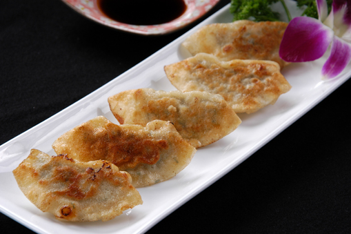 Bánh xếp chiên nhân thịt/DUMPLING/餃子