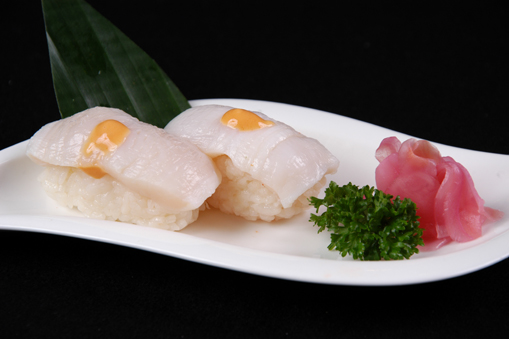 Sò điệp/SCALLOPS/ 帆立貝柱