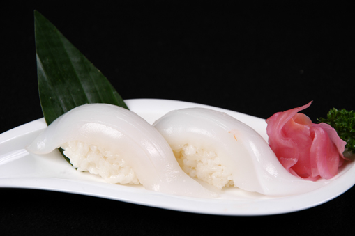 Mực sống/SQUID/イカ